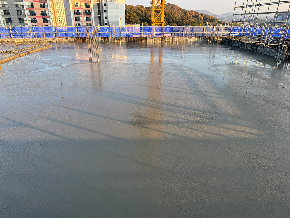 KakaoTalk_20241112_165433243_02.jpg